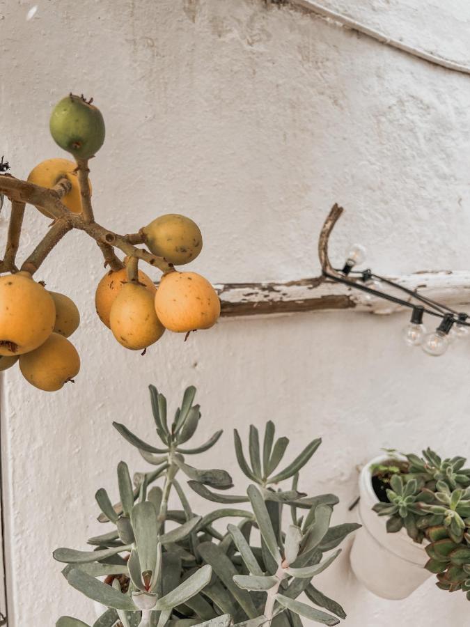 Apartamento C-Alma En El Corazon De Vejer Apartment Вехер де ла Фронтера Екстериор снимка